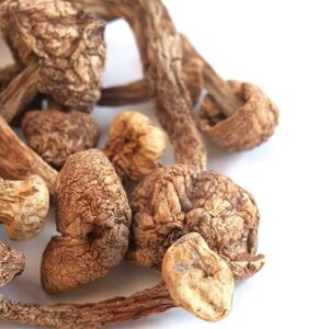 Buy Enigma Magic Mushroom Online, Enigma magic mushroom, Enigma psilocybin strain, Enigma mushroom for sale, What is the Enigma magic mushroom strain?, Effects of Enigma psychedelic mushrooms, Where to buy Enigma psilocybin strain legally, Enigma mushroom potency vs Penis Envy, Enigma cubensis strain info, Mutated psilocybin mushroom strains, Enigma mushroom spore cultivation guide, Is Enigma the most potent magic mushroom?, Enigma vs Penis Envy: Which Psilocybin Strain Is Stronger?, How long does an Enigma mushroom trip last?