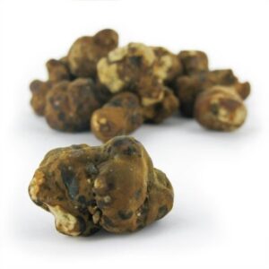 Buy Hollandia Magic Truffles | Natural psilocybin Truffles Online, Hollandia Magic Truffles, Buy Hollandia Magic Truffles online, Natural psilocybin truffles Hollandia, Hollandia psilocybin truffles for sale, Hollandia psychedelic truffles, Effects of Hollandia Magic Truffles, Hollandia Magic Truffles dosage guide, How to use Hollandia psilocybin truffles, Hollandia Magic Truffles experience report, Where to buy natural psilocybin truffles, Hollandia Magic Truffles potency and effects, Visual and mental effects of Hollandia truffles, Hollandia Magic Truffles for spiritual journeys, Microdosing Hollandia psilocybin truffles benefits, Hollandia Magic Truffles trip duration, Are Hollandia Magic Truffles legal?, Safe dosage for Hollandia psilocybin truffles, Hollandia truffles side effects, Harm reduction tips for Hollandia Magic Truffles
