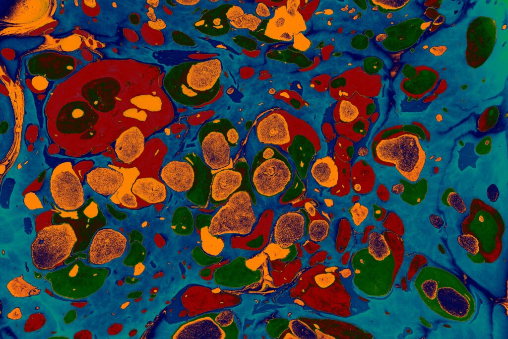 Dynamic abstract fluid art painting with vibrant colors and organic shapes.