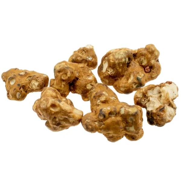 Buy Magic Truffles Tampanensis Online, Are Magic Truffles Tampanensis legal?, Safe dosage for Tampanensis psilocybin truffles, Tampanensis truffles side effects, Harm reduction tips for Tampanensis Magic Truffles, Tampanensis Magic Truffles potency and effects, Visual and mental effects of Tampanensis truffles, Tampanensis Magic Truffles for spiritual journeys, Microdosing Tampanensis psilocybin truffles benefits, Tampanensis Magic Truffles trip duration, Effects of Magic Truffles Tampanensis, Magic Truffles Tampanensis dosage guide, How to use Tampanensis magic truffles, Tampanensis Magic Truffles experience report,Where to buy Magic Truffles Tampanensis, Tampanensis magic truffles for sale, Psilocybin truffles Tampanensis strain, Tampanensis psilocybin truffles