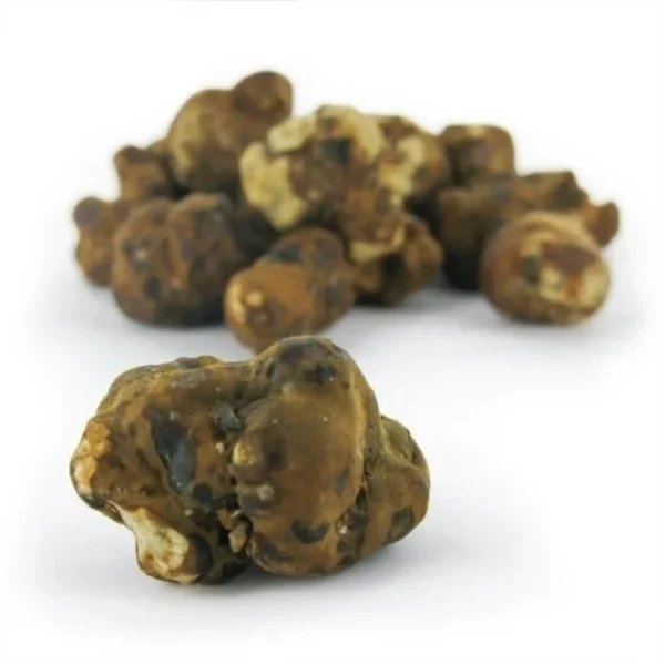 Buy Magic Truffles Mexicana Online, Are Magic Truffles Mexicana legal?, Safe dosage for Mexicana psilocybin truffles, Mexicana truffles side effects, Harm reduction tips for Mexicana Magic Truffles, Mexicana vs Other Magic Truffles Strains, Magic Truffles Mexicana dosage guide, How to use Mexicana magic truffles, Mexicana Magic Truffles experience report, Where to buy Magic Truffles Mexicana, Mexicana Magic Truffles potency and effects, Visual and mental effects of Mexicana truffles, Mexicana Magic Truffles for beginners, Microdosing Mexicana psilocybin truffles benefits, Mexicana Magic Truffles trip duration